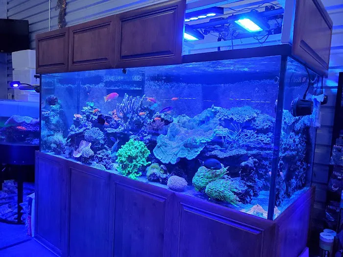Aquatic Art Inc. 12