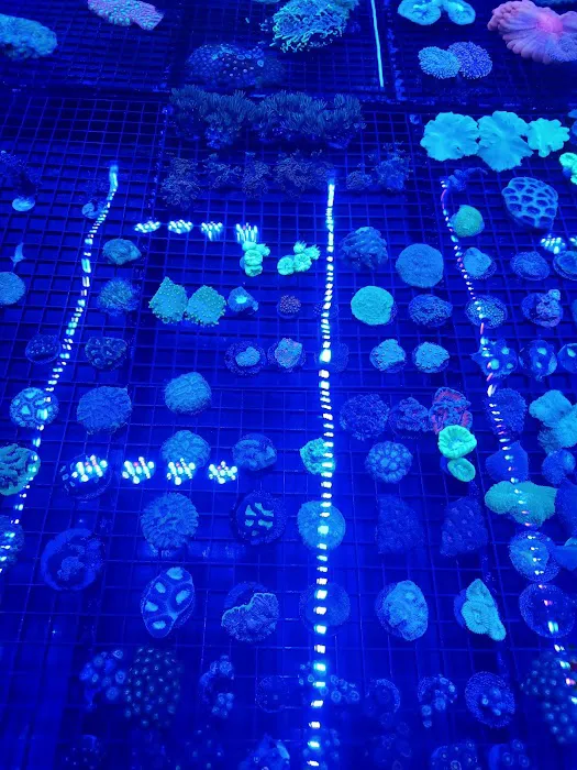 Aquatic Art Inc. 12