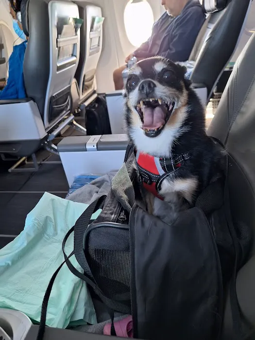 Harbor Animal Hospital 3