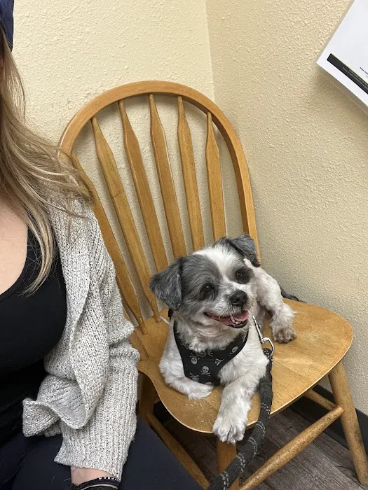 Harbor Animal Hospital 5