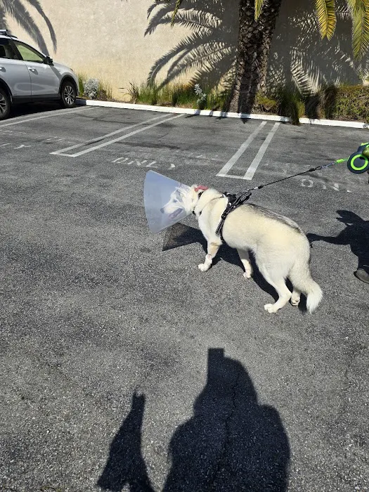 Harbor Animal Hospital 6