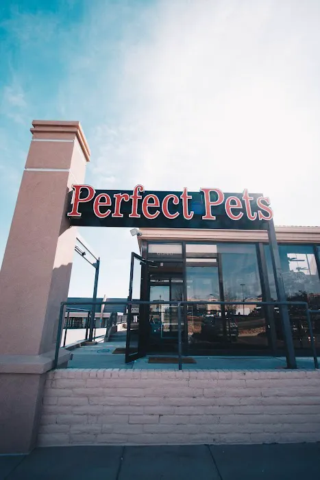 Perfect Pets 12