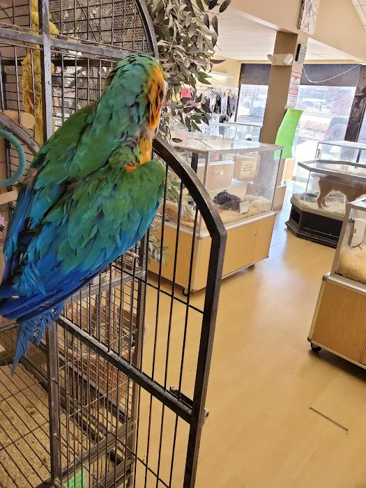 Perfect Pets 12