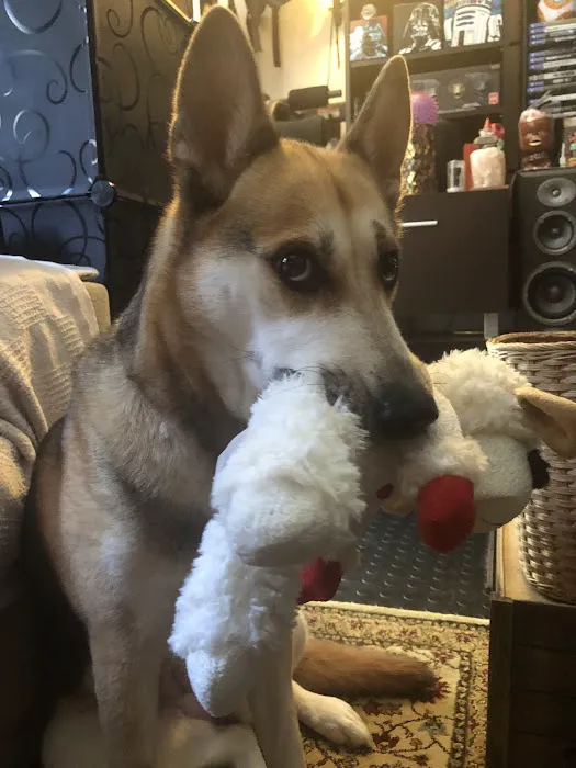 Alondra Animal Hospital 9