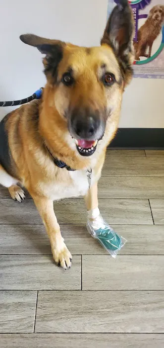 Alondra Animal Hospital 4