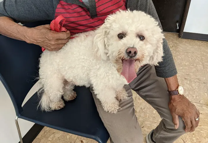 Hollypark Pet Clinic 3