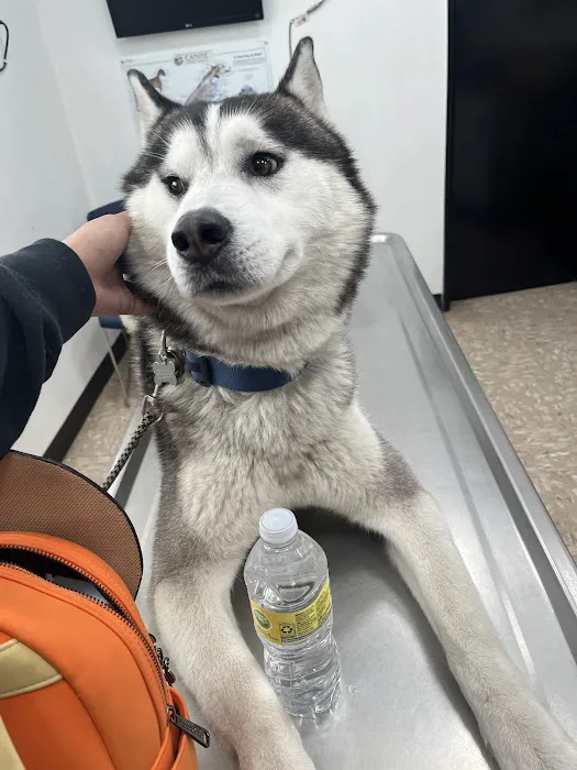 Hollypark Pet Clinic 7