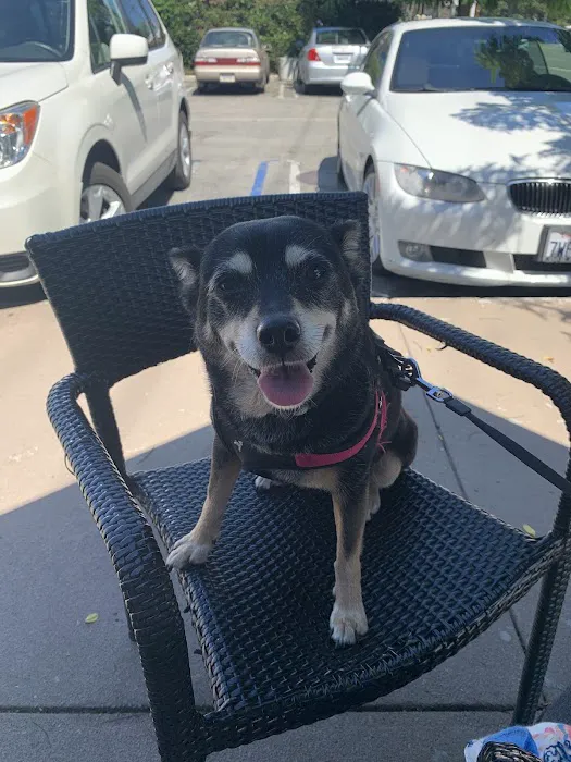 Hollypark Pet Clinic 9