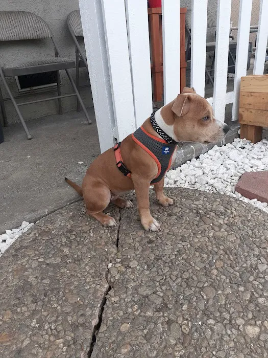 Hollypark Pet Clinic 1