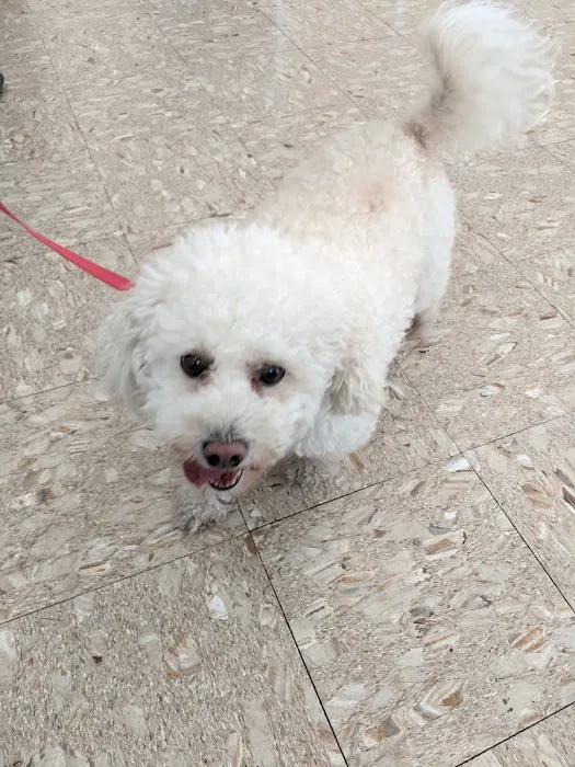 Hollypark Pet Clinic 5