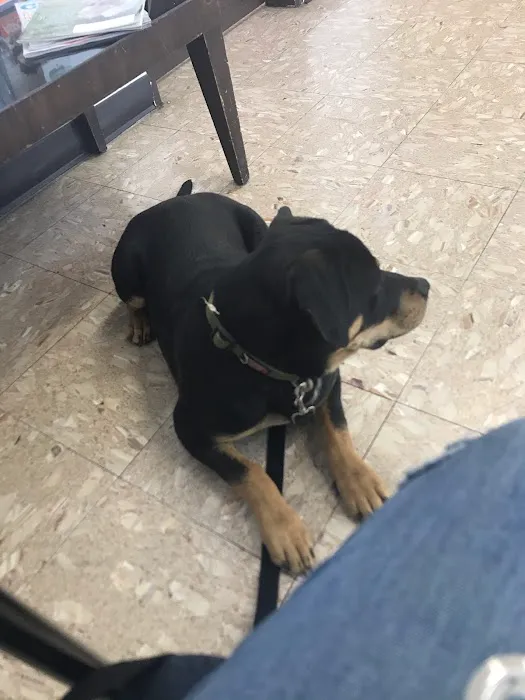 Hollypark Pet Clinic 8