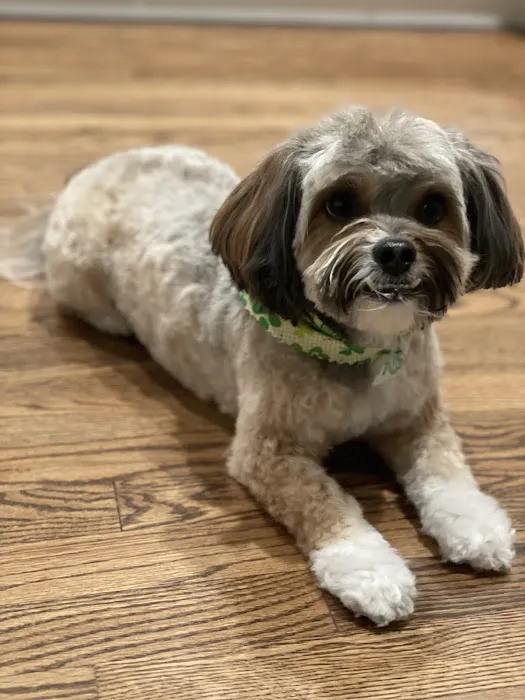 Kriser's Natural Pet 12