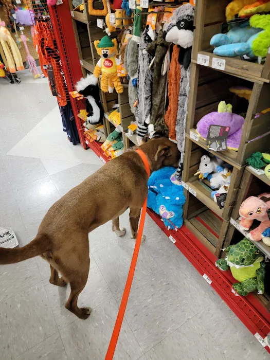 Petco 12