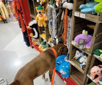 Petco