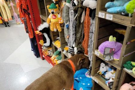 Petco