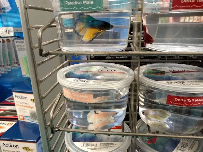Petco 12