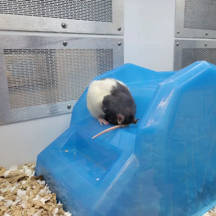 Petco 12