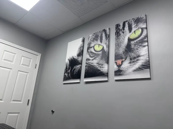 Lawndale Pet Hospital: Paul Lynch DVM 1