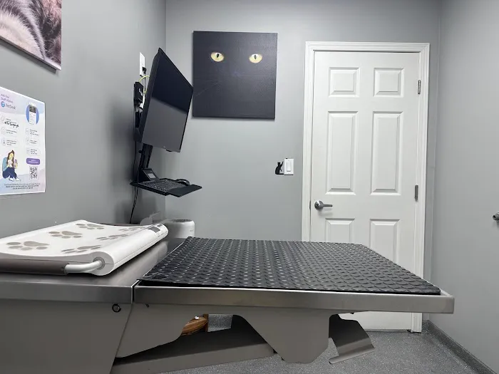 Lawndale Pet Hospital: Paul Lynch DVM 2
