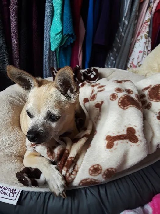 Lawndale Pet Hospital: Paul Lynch DVM 9