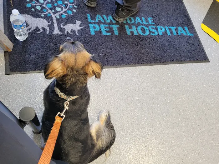 Lawndale Pet Hospital 8