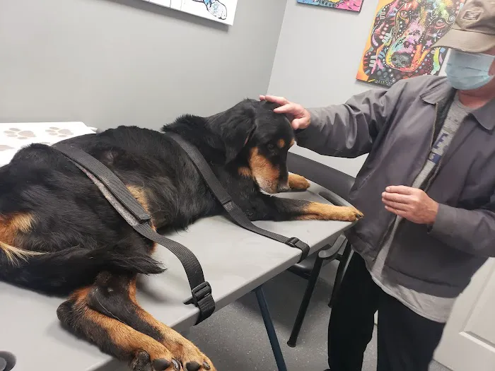 Lawndale Pet Hospital 5