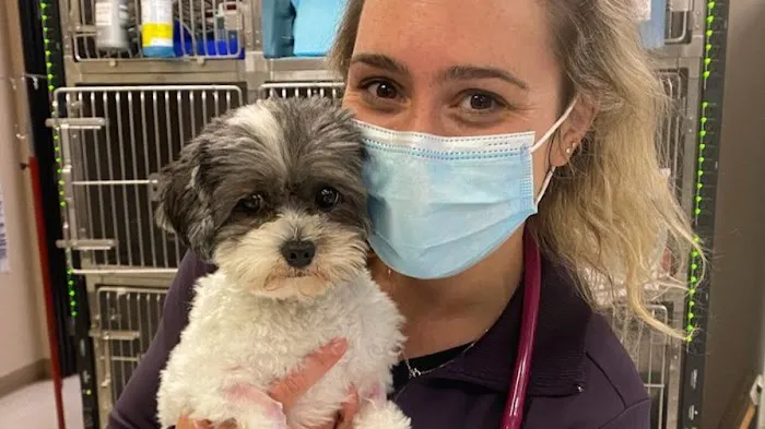 VCA Advanced Veterinary Care Center 6