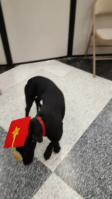 Petco 12