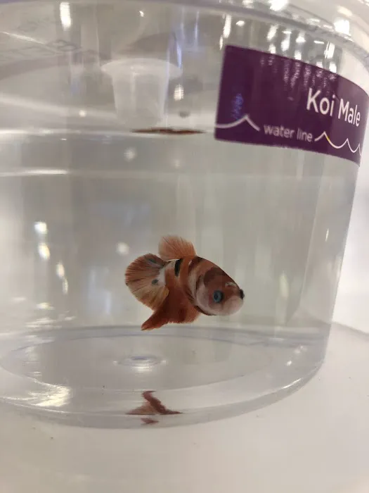 Petco 12