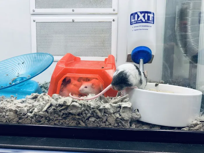 Petco 12