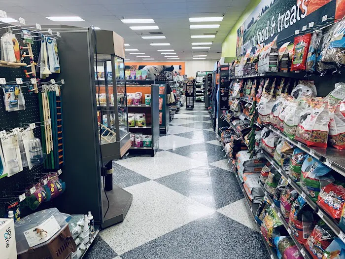 Petco 12