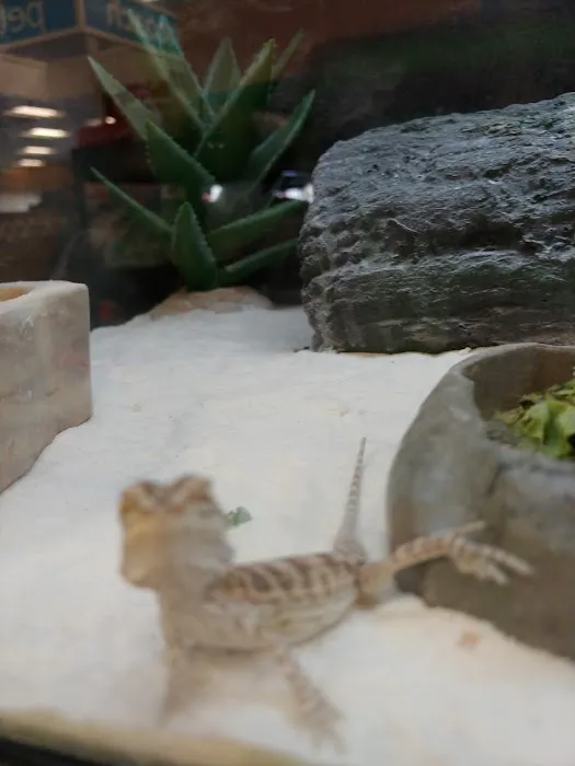 Petco 12