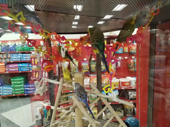 Petco 12