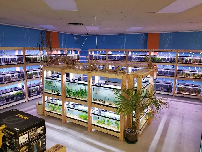 Nature Box Pet Emporium 2