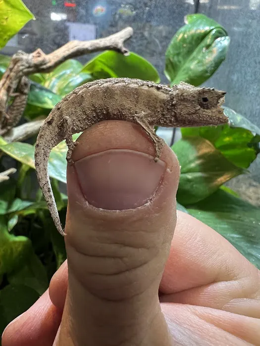 Nature Box Pet Emporium 10