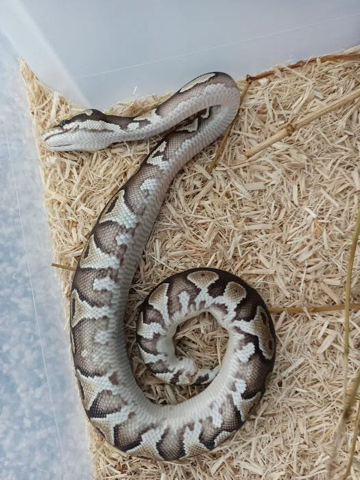Nature Box Pet Emporium 6