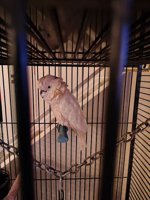 Exotic Bird Ranch II 12