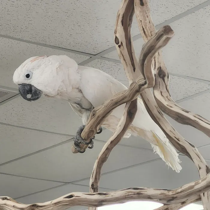 Exotic Bird Ranch II 12