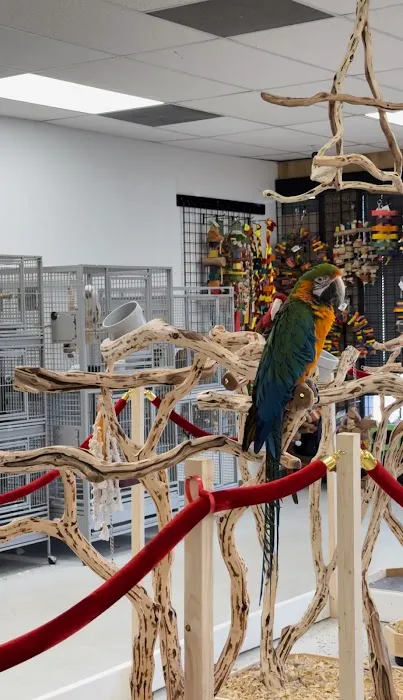 Exotic Bird Ranch II 12