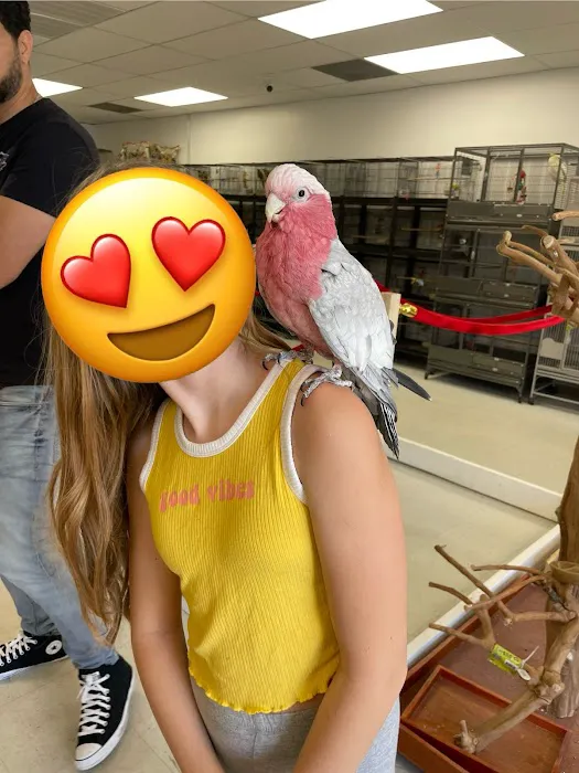 Exotic Bird Ranch II 12