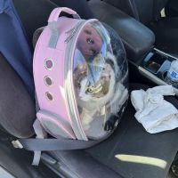 Hawthorne Quality Pet Care (formerly Hawthorne Dog & Cat Hospital) ico