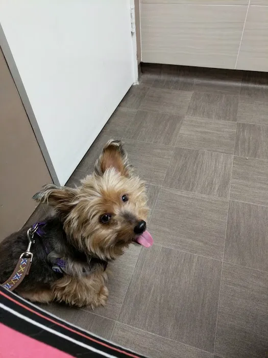 Hawthorne Quality Pet Care (formerly Hawthorne Dog & Cat Hospital) 10