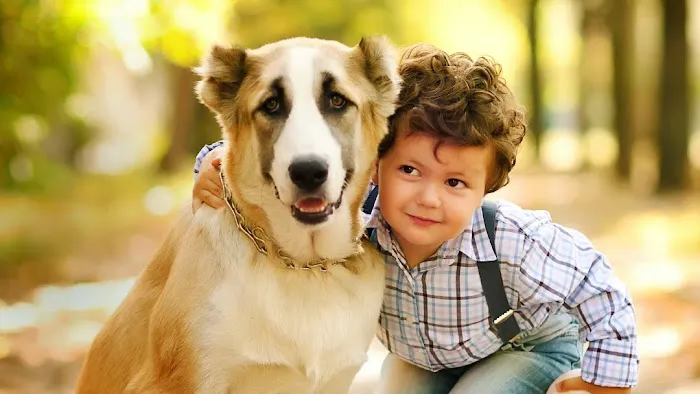 Hawthorne Quality Pet Care (formerly Hawthorne Dog & Cat Hospital) 6