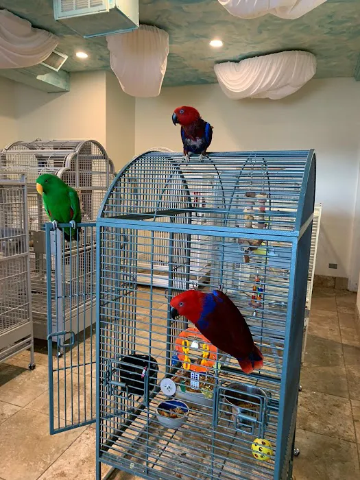 Exotic Birds of Denver (BEST main bird shop) 12