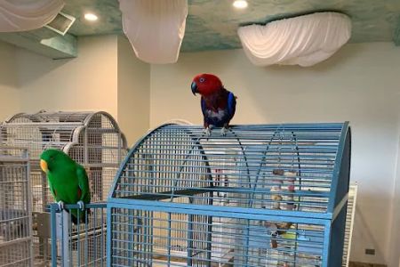 Exotic Birds of Denver (BEST main bird shop)