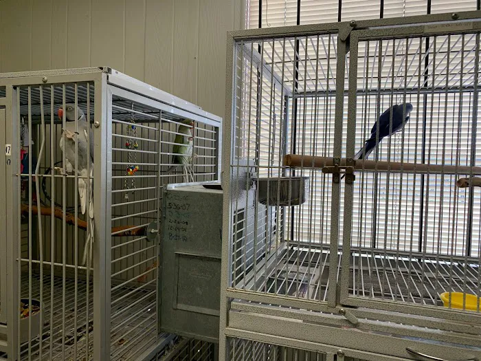Exotic Birds of Denver (BEST main bird shop) 12