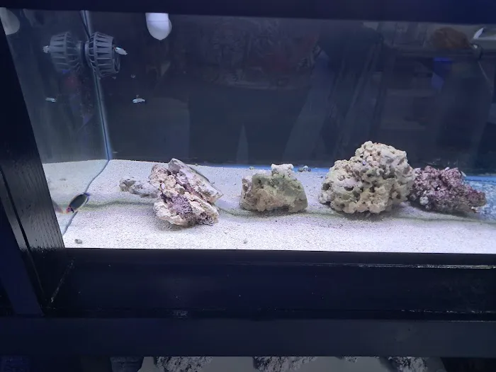 Fins Up Reef Co. 12