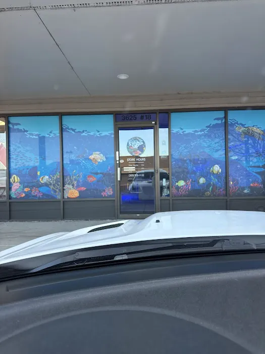 Fins Up Reef Co. 12