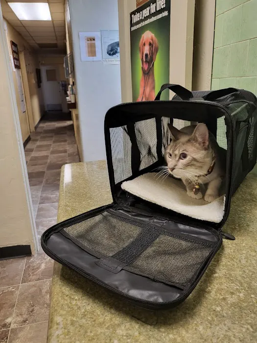 Green Dog & Cat Hospital 8