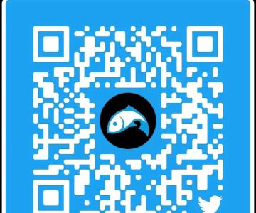 G-Force Concepts LLC